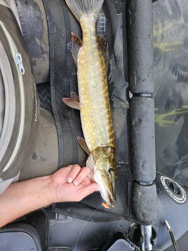 2023-09-02-um-15.24.52