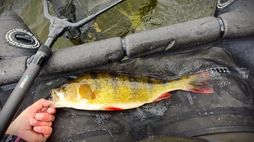 2024-06-09-um-11.06.51